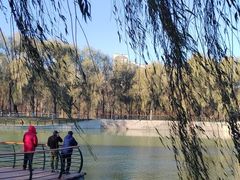 -黛秀湖公园