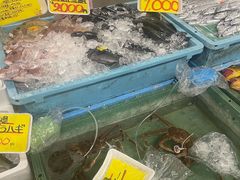 -南纪白浜Toretore市场