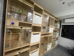 -爱洗澡的猫(望京店)