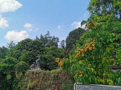 -广州神农草堂中医药博物馆