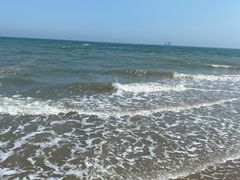 -海滨浴场