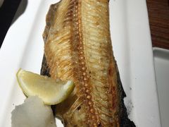 -桂马·日本料理·海胆·海鲜饭·酒场(民主广场店)