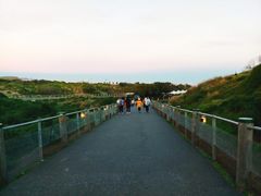 -企鹅岛