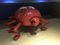 -上海昆虫博物馆