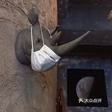走成华大道，去喝一杯好喝又便宜的社区咖啡
