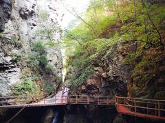 -九龙潭景区