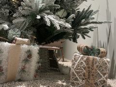 -J Create城市露营咖啡·简餐·宠物(上海动物园店)