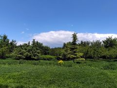 -东郊湿地公园