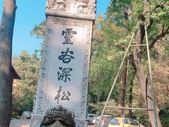 -灵谷景区