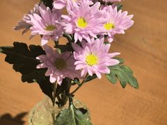 -榖屋house of flour(张江首店)