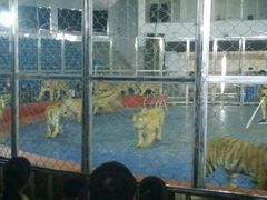 android_upload_pic-西安秦岭野生动物园