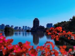 -眉山湿地公园(东坡区)