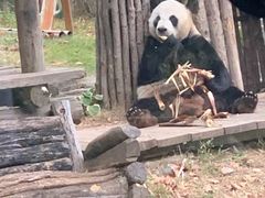 -大连森林动物园