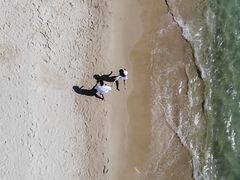 -三亚亚龙湾万豪度假酒店