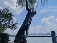 -无锡蠡湖国家湿地公园-蠡园