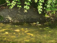 -苏州河梦清园环保主题公园