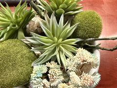 -徽州小镇(高新店)