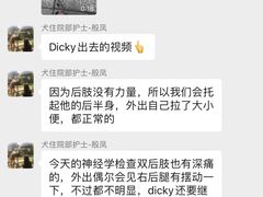 -泰洋动物医院·神经专科·磁共振·CT(天河公园总院)