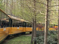 -合肥滨湖国家森林公园