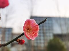 -北京明城墙遗址公园