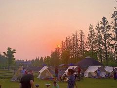 -前小桔亲子创意农场·草莓采摘·露营烧烤