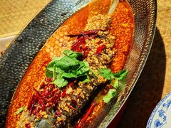 -大张烙馍村·美食地标(泉山店)