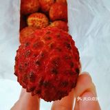 荔枝王个头更大更饱满