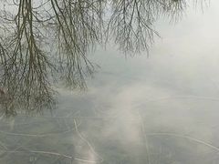 -河北省园博园