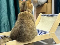 -萌兽医馆·犬猫专科·眼科中心·宠物医院(朝阳门分院)