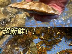 -高佳庄·舟山海鲜(海景旗舰店)