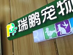 -瑞鹏宠物医院·夜间急症·心超·猫科(祖庙分店)