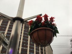 -全季酒店(广州越秀公园店)