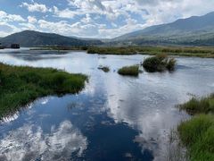 -腾冲北海湿地