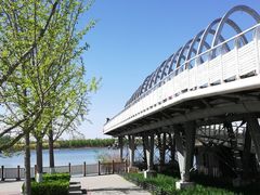 -大兴滨河森林公园