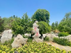 -武清南湖绿博园