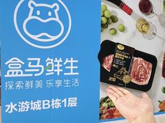 -鹏欣水游城