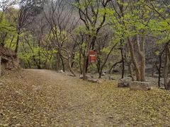 -龙洞风景区-藏龙涧