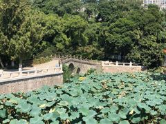-水绘园