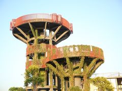 -芒洲湿地公园