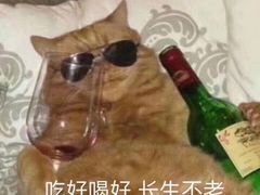 -茂菊口腔连锁(浦东南路店)