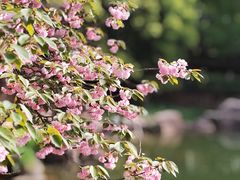 -白马涧龙池景区
