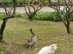 -无锡梅园公园