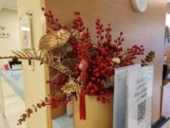 点击看大图 -杭州贝瑞斯美华妇儿医院·早孕·产检·儿科