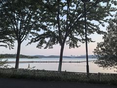 -东湖落雁景区
