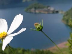 -里格村景区