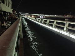 -演武大桥观景平台