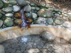 -三江森林温泉度假区