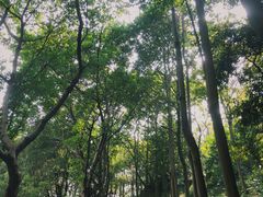 -广州市白云山风景名胜区