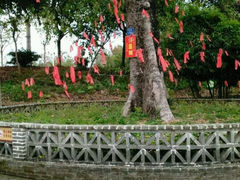 android_upload_pic-荔枝红五号农庄