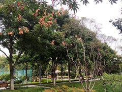 -后襄河公园